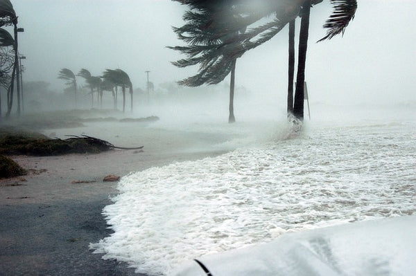 Stay prepared for the 2023 Hurricane Season