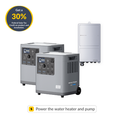 2* Mango Power E + 1*mPanel Pro
