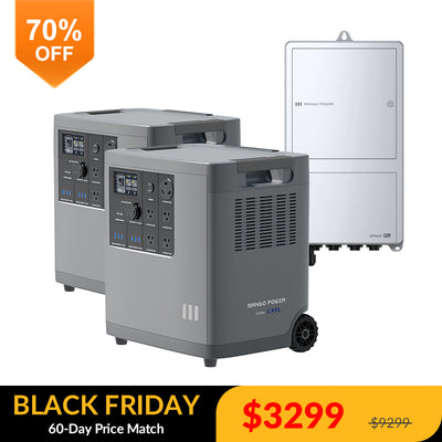 2* Mango Power E + 1*mPanel Pro