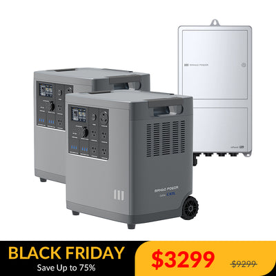 2* Mango Power E + 1*mPanel Pro