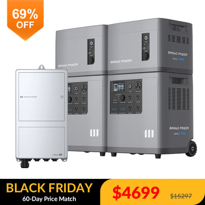 2* Mango Power E+2* Extra Battery + mPanel Pro