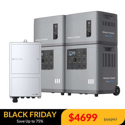 2* Mango Power E+2* Extra Battery + mPanel Pro