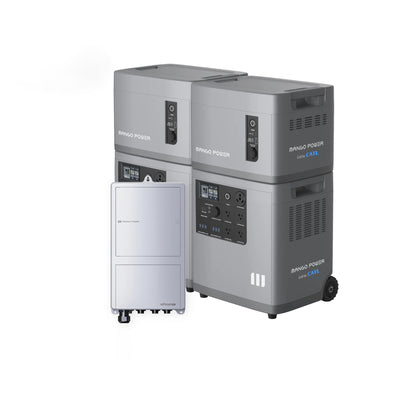 2* Mango Power E+2* Extra Battery + mPanel Pro